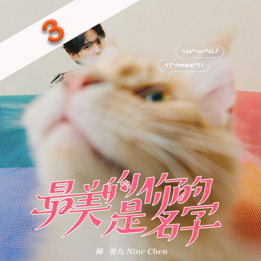 最美的是你的名字
