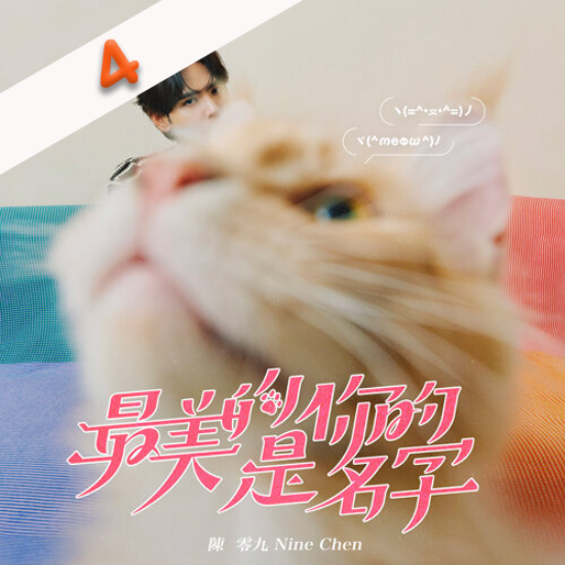 最美的是你的名字